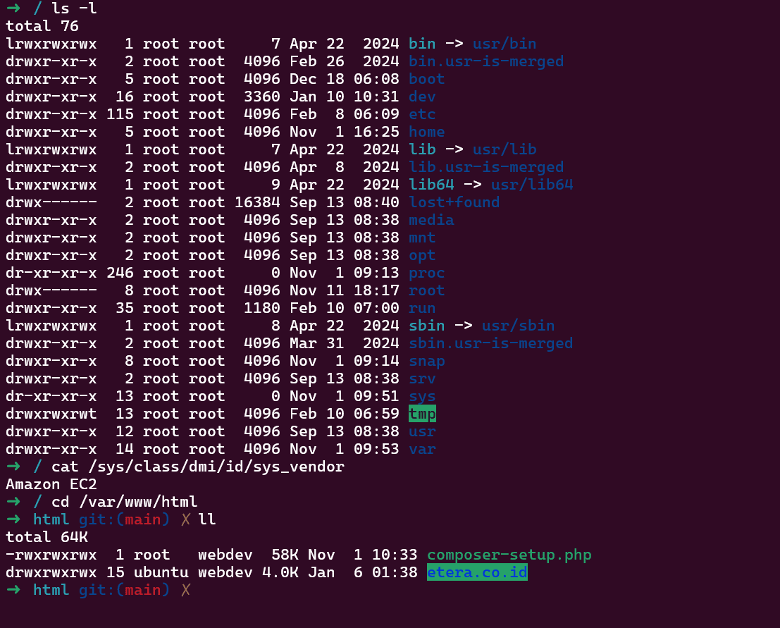 aws linux preview image