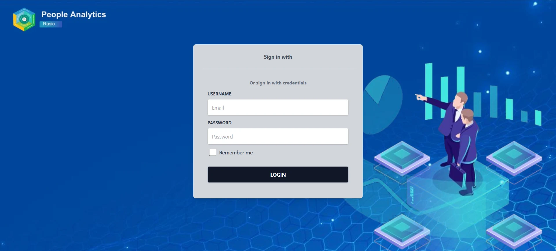 people-analytic website preview image