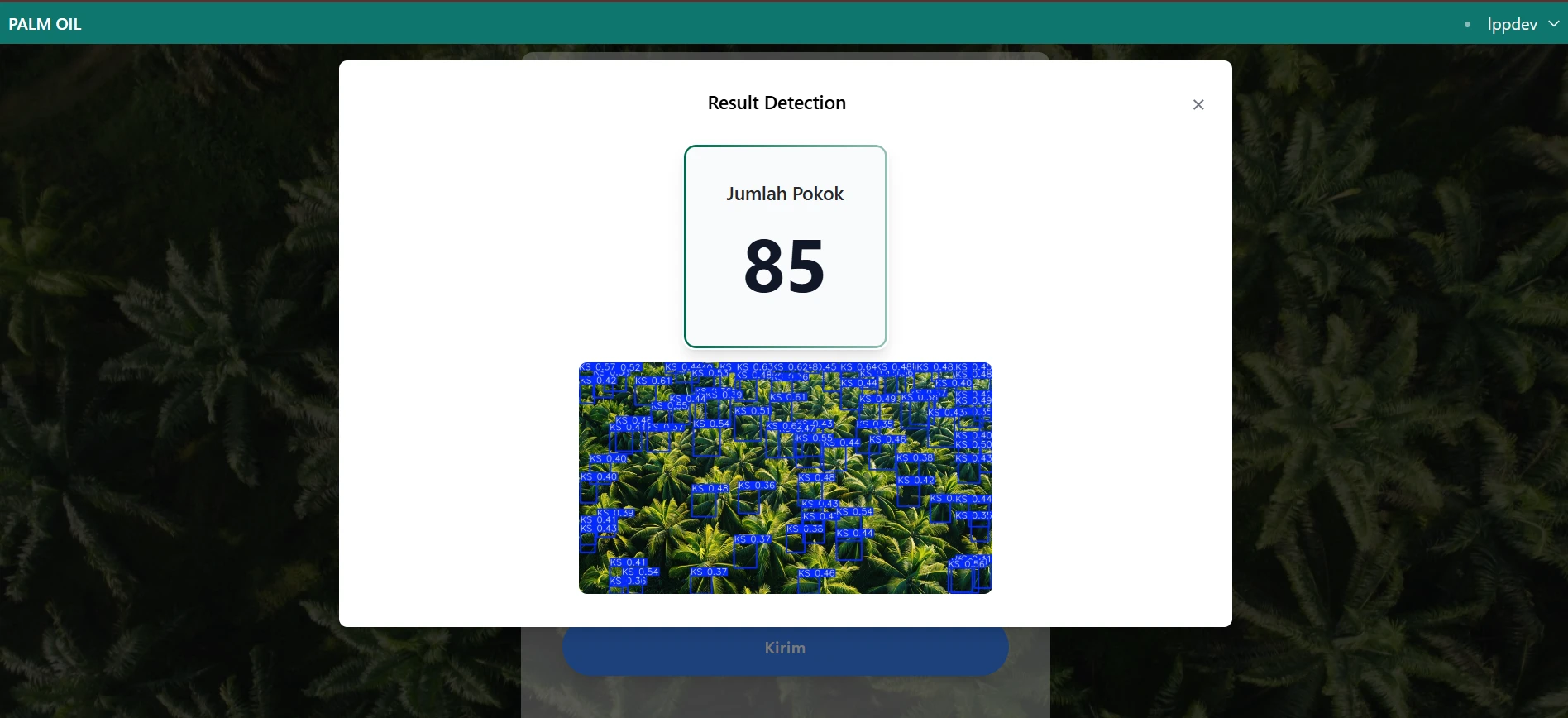 Dashboard nasional website preview image